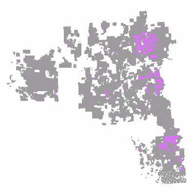 Export Image
